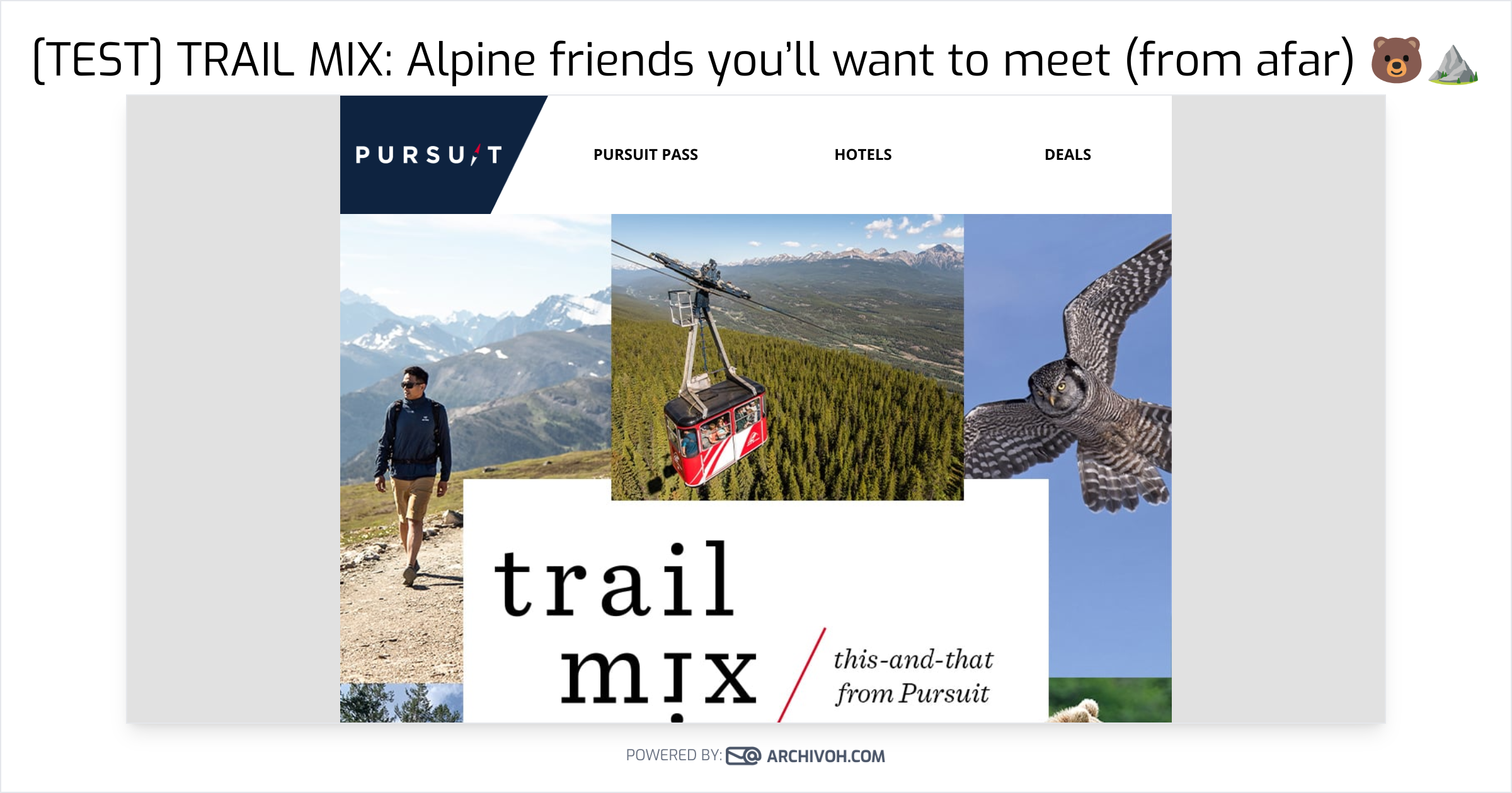 [TEST] TRAIL MIX: Alpine friends you’ll want to meet (from afar) 🐻...