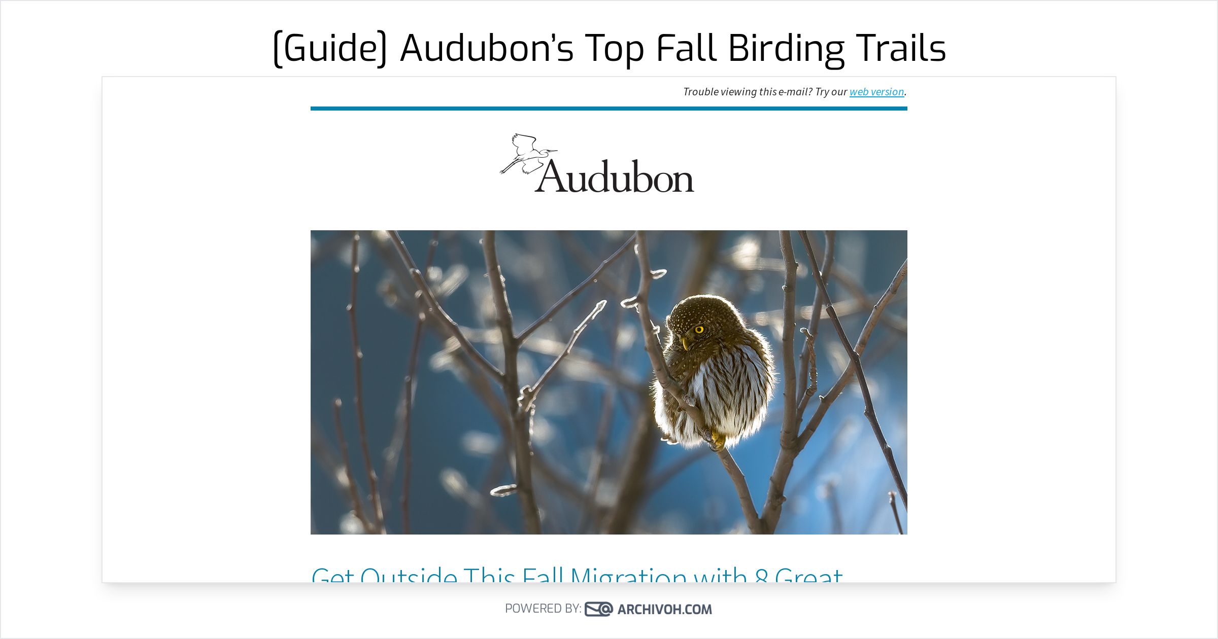[Guide] Audubon’s Top Fall Birding Trails